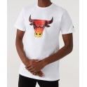 New Era - T-shirt NBA Summer City - Chicago Bulls