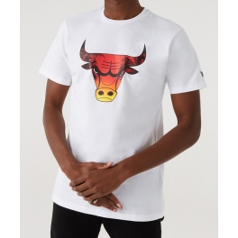 New Era - T-shirt NBA Summer City - Chicago Bulls