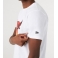 New Era - T-shirt NBA Summer City - Chicago Bulls