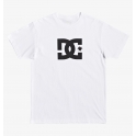 DC Shoes - T-shirt Star HSS