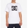 DC Shoes - T-shirt Star HSS