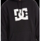 DC Shoes - Sweat à capuche Star PH