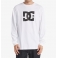 DC Shoes - T-shirt Manches Longues Star HLS