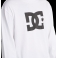 DC Shoes - T-shirt Manches Longues Star HLS