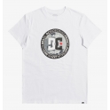 DC Shoes - T-shirt Divide And Conquer