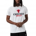New Era - T-shirt NBA Script - Chicago Bulls