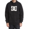 DC Shoes - Sweat à capuche zippé Star ZH - ADYFT03267