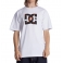 DC Shoes - T-shirt Star Fill