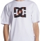 DC Shoes - T-shirt Star Fill