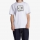 DC Shoes - T-shirt Star Fill