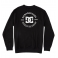 DC Shoes - Sweat-shirt Star Pilot