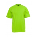 UrbanClassic - T-Shirt Urban Classic Vert